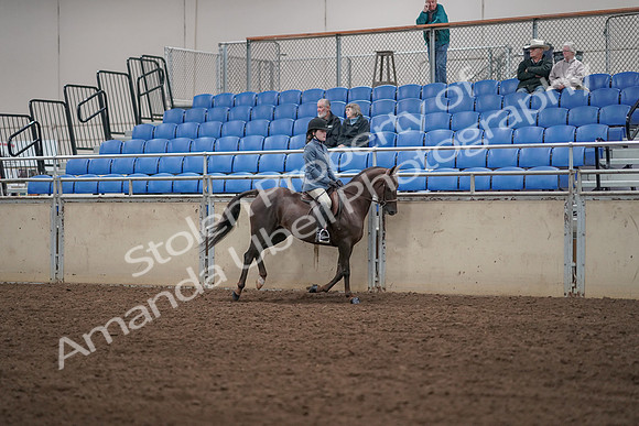 2019 Morgan Horse Show - Aug 31, 2019 - 07476