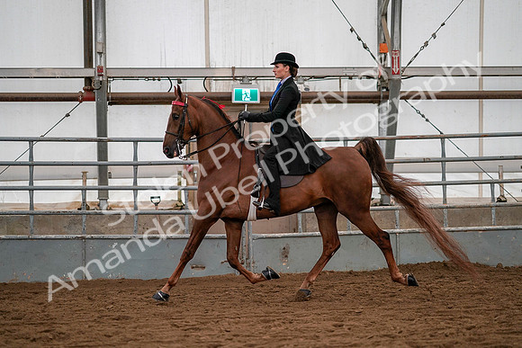 July 19, 2019 - 10317
