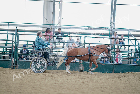 July 21, 2019 - 09046