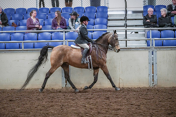 Spring Fling - Saturday - April 20, 2019  -  03850