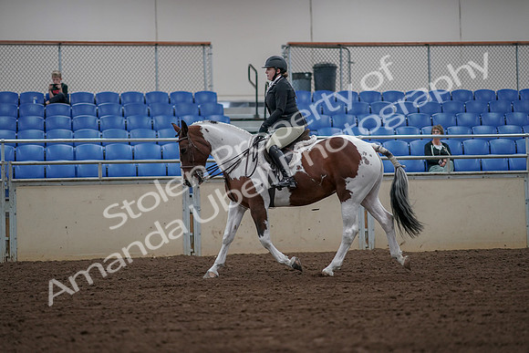 2019 Morgan Horse Show - Aug 30, 2019 - 14926