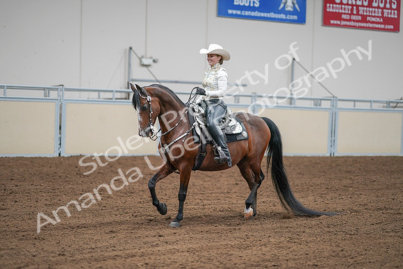 2020 - AB Morgan Horse - Sat, Sept 05 - 09035