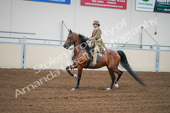 2020 - AB Morgan Horse - Sat, Sept 05 - 08004