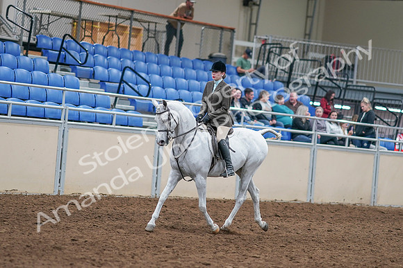 2020 - AB Morgan Horse - Sat, Sept 05 - 14228