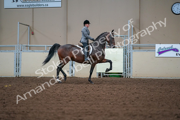 2019 Morgan Horse Show - Aug 30, 2019 - 20940