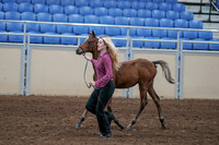 2020 - AB Morgan Horse - Sat, Sept 05 - 00472