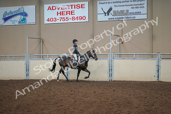 2019 Morgan Horse Show - Aug 30, 2019 - 12475