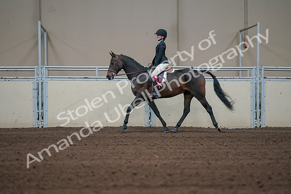2019 Morgan Horse Show - Sept 01, 2019 - 03990