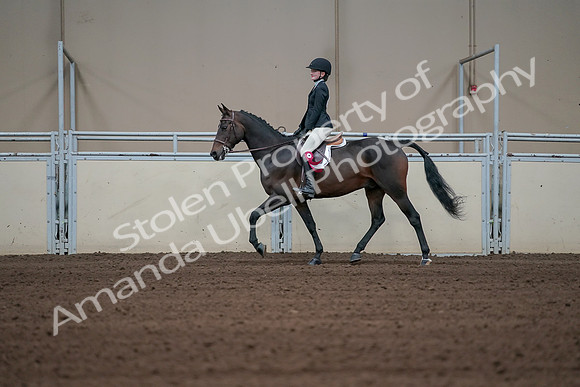 2019 Morgan Horse Show - Sept 01, 2019 - 03989