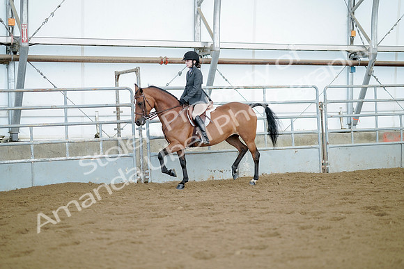 July 21, 2019 - 03310