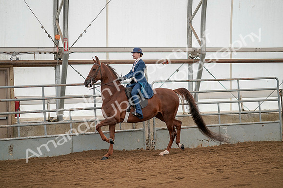 July 20, 2019 - 02185