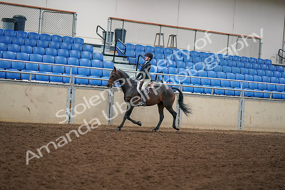 2019 Morgan Horse Show - Aug 30, 2019 - 12249