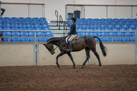 2019 Morgan Horse Show - Aug 31, 2019 - 06316