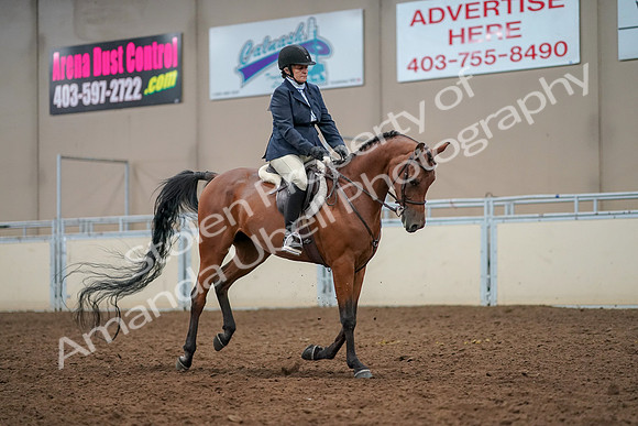 2019 Morgan Horse Show - Aug 30, 2019 - 22542