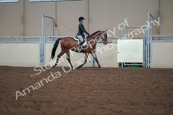2019 Morgan Horse Show - Aug 30, 2019 - 20856