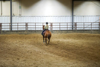 Rein - Fence/Box - Youth 10-13