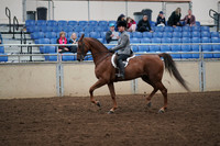 2019 Morgan Horse Show - Aug 31, 2019 - 13781