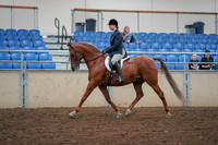 2019 Morgan Horse Show - Aug 30, 2019 - 16005