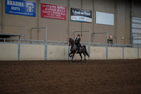 2019 Morgan Horse Show - Aug 30, 2019 - 28283
