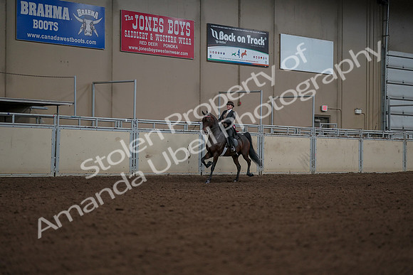 2019 Morgan Horse Show - Aug 30, 2019 - 28283