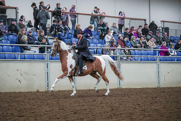 Spring Fling - Saturday - April 20, 2019  -  00653