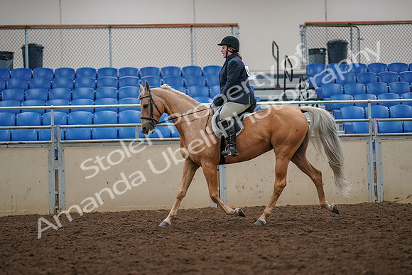 2019 Morgan Horse Show - Aug 30, 2019 - 22294