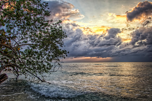Jamaica - 016