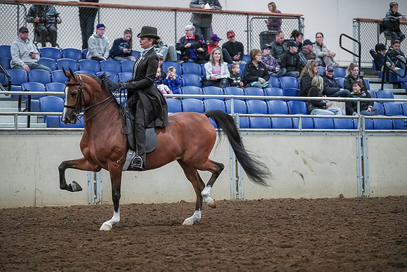 Spring Fling - Saturday - April 20, 2019  -  00615
