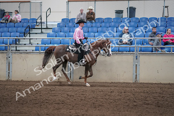 2019 Morgan Horse Show - Sept 01, 2019 - 07052