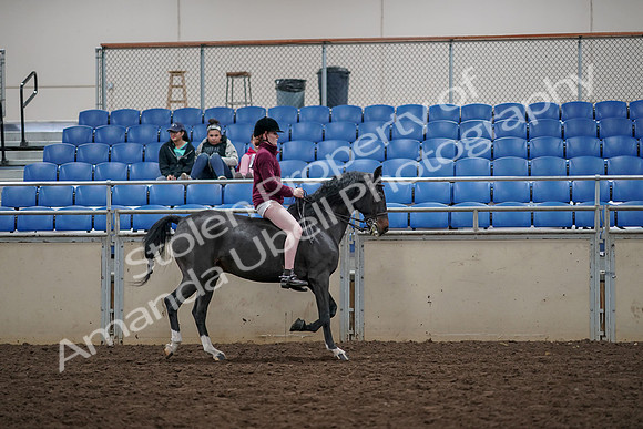 2019 Morgan Horse Show - Aug 30, 2019 - 31371