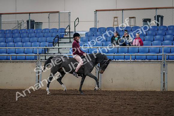 2019 Morgan Horse Show - Aug 30, 2019 - 31355