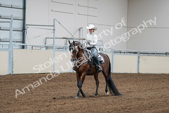 2020 - AB Morgan Horse - Sat, Sept 05 - 08997