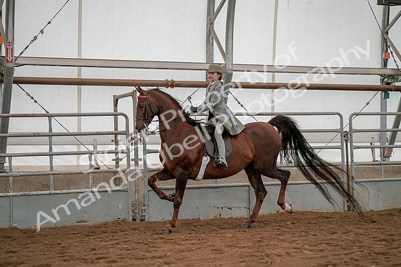 July 19, 2019 - 3982