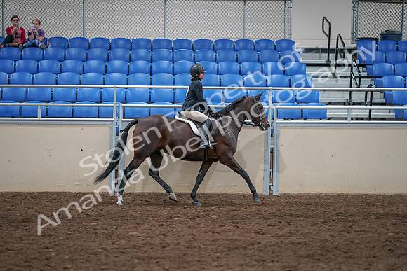 2020 - AB Morgan Horse - Sat, Sept 05 - 05137