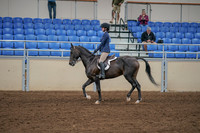 2020 - AB Morgan Horse - Sat, Sept 05 - 01174