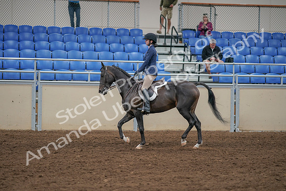 2020 - AB Morgan Horse - Sat, Sept 05 - 01174
