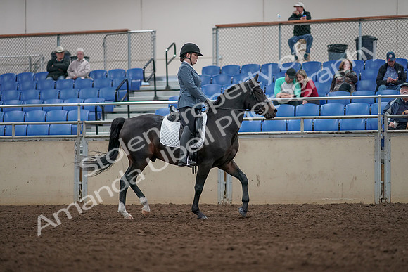 2019 Morgan Horse Show - Aug 31, 2019 - 07447