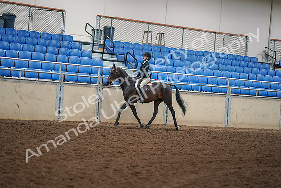 2019 Morgan Horse Show - Aug 30, 2019 - 12247
