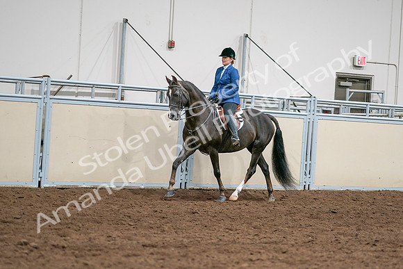 2020 - AB Morgan Horse - Sat, Sept 05 - 04990