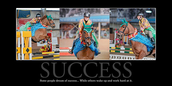 Berti - Success - 10x20
