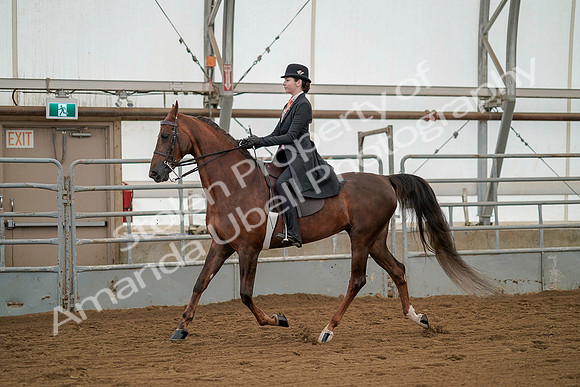 July 20, 2019 - 02273