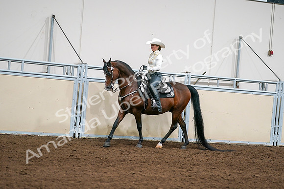 2020 - AB Morgan Horse - Sat, Sept 05 - 08919