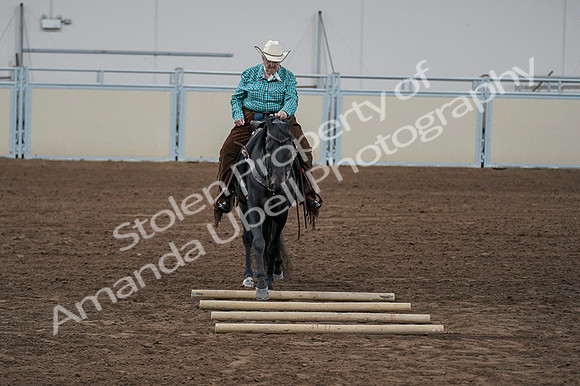 2020 - AB Morgan Horse - Fri, Sept 04 - 00511