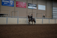 2019 Morgan Horse Show - Aug 30, 2019 - 28282
