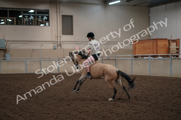 2019 Morgan Horse Show - Aug 30, 2019 - 31251