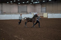 2019 Morgan Horse Show - Aug 31, 2019 - 00190