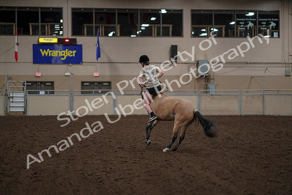2019 Morgan Horse Show - Aug 30, 2019 - 31267