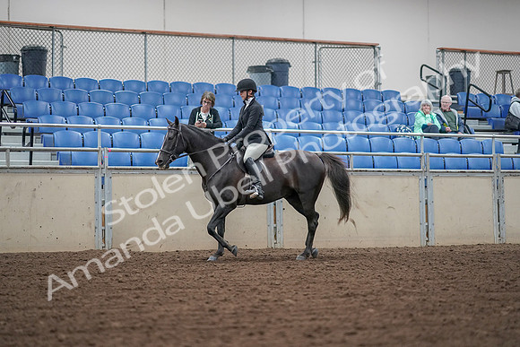 2019 Morgan Horse Show - Aug 30, 2019 - 14881