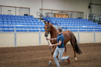 2020 - AB Morgan Horse - Sat, Sept 05 - 00180