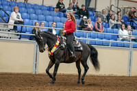 2020 - AB Morgan Horse - Sat, Sept 05 - 10354